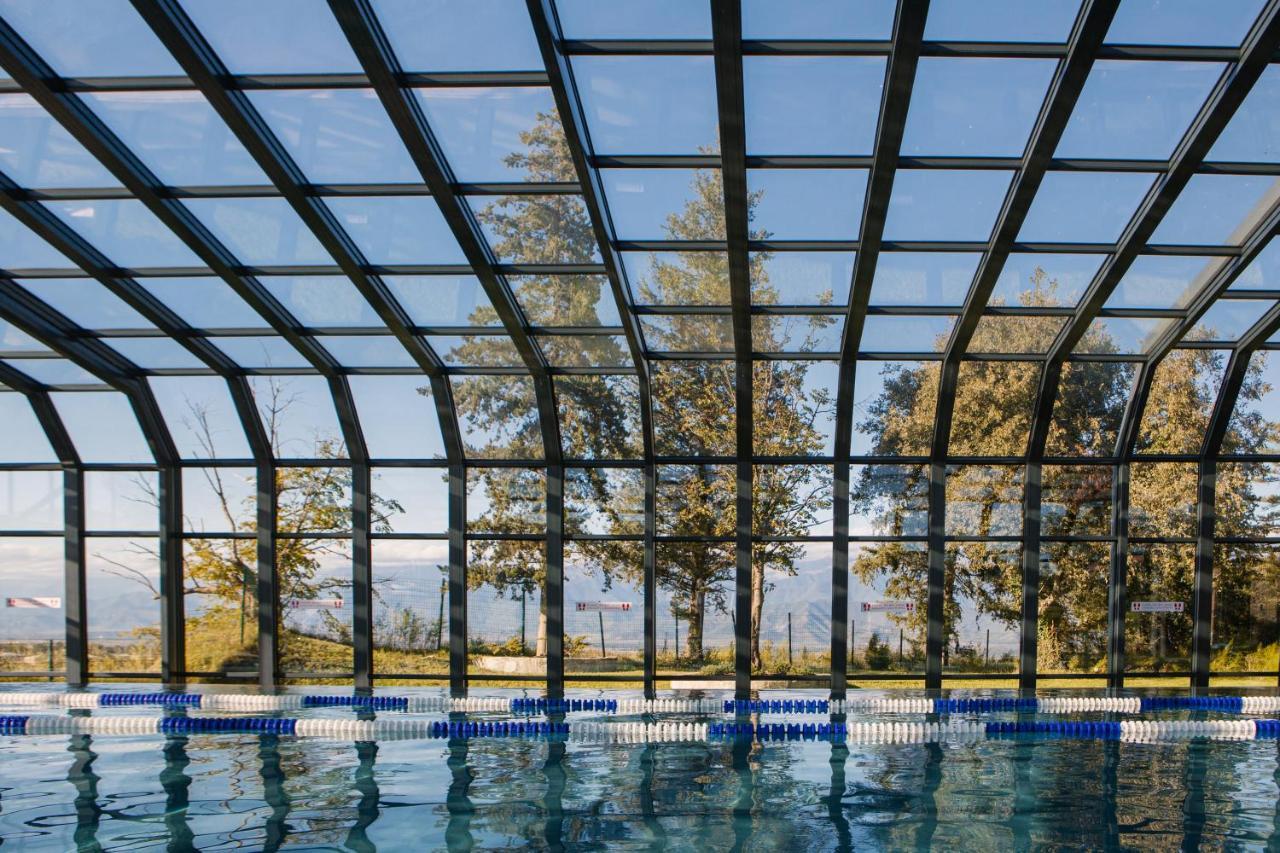 Tsinandali Estate, A Radisson Collection Hotel Dış mekan fotoğraf Swimming pool with a retractable roof