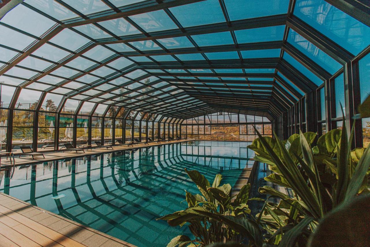 Tsinandali Estate, A Radisson Collection Hotel Dış mekan fotoğraf Swimming pool at the hotel