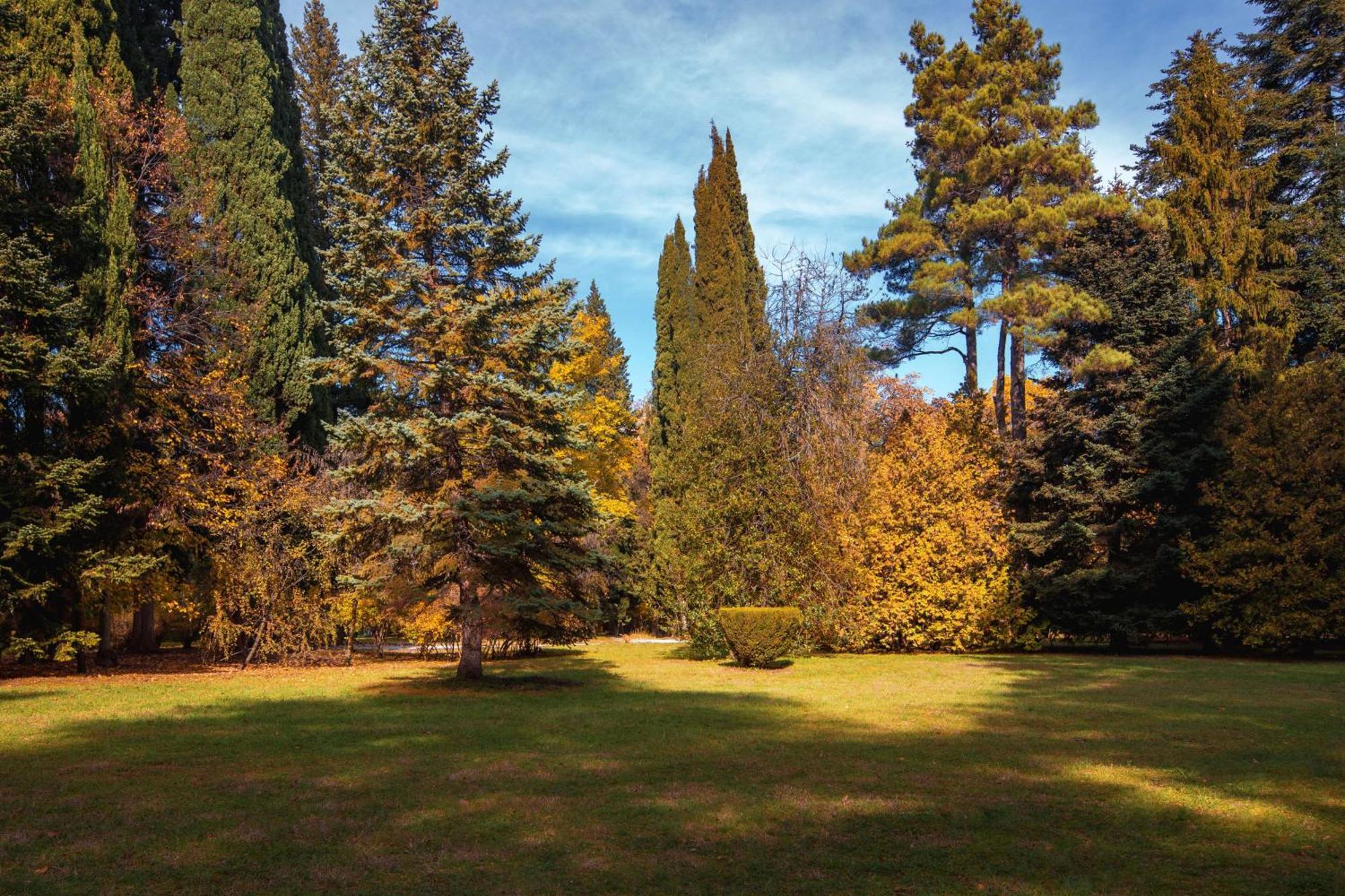 Tsinandali Estate, A Radisson Collection Hotel Dış mekan fotoğraf